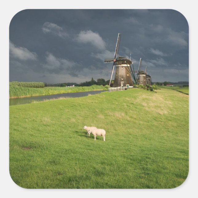 Sheep with windmills under dark clouds square sticker (Front)