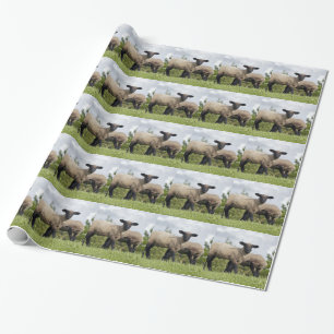 sheep wrapping paper