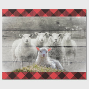 Sheep Wrapping Paper