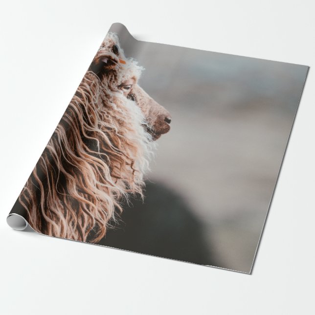 SHEEP WRAPPING PAPER (Unrolled)