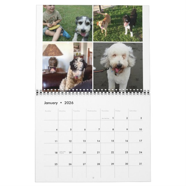 Sheepadoodle Calendar 2014-2015 (Jan 2026)