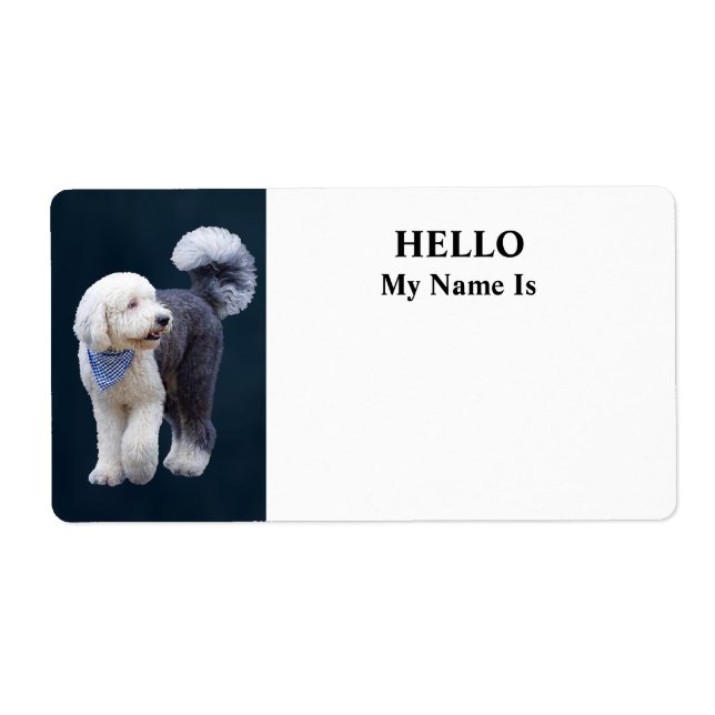 Sheepadoodle With Blue Chequered Scarf (Front)
