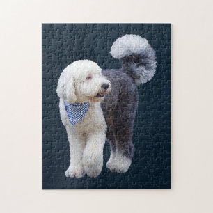 Sheepadoodle With Blue Chequered Scarf Jigsaw Puzzle