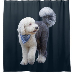Sheepadoodle With Blue Chequered Scarf Shower Curtain
