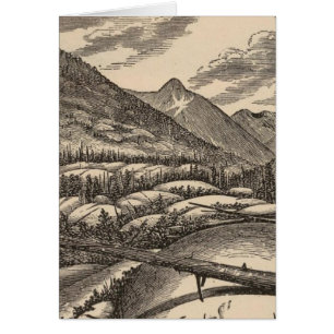 Sheepbacks