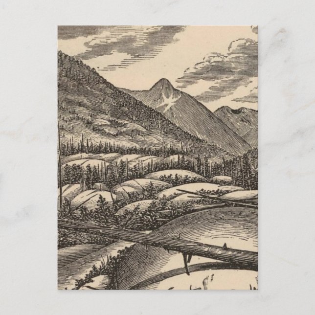 Sheepbacks Postcard (Front)