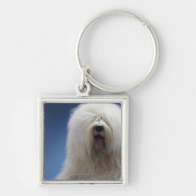 Sheepdog Key Ring (Front)