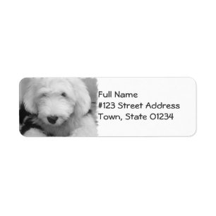 Sheepdog Return Address Mailing Label