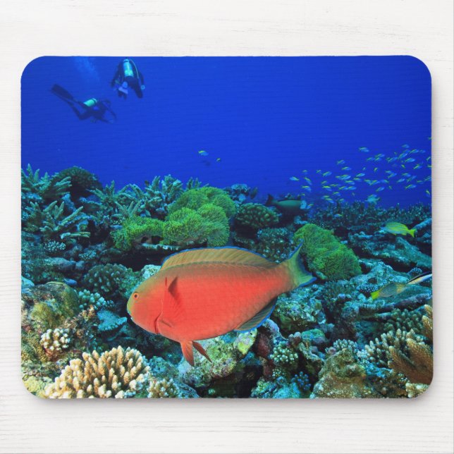 Sheephead Parrotfish Scarus Mouse Mat (Front)