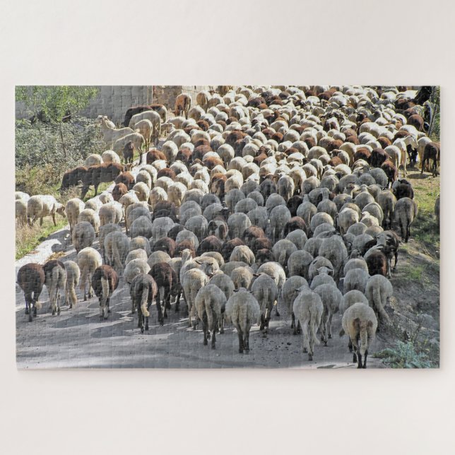 Sheeps bottom animal tricky jigsaw puzzle (Horizontal)