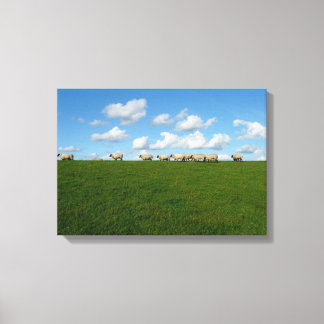 Sheeps canvas print