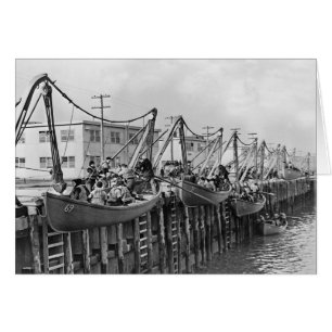 Sheepshead Bay