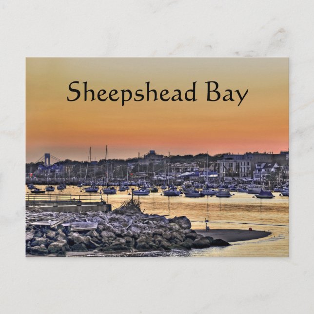 Sheepshead Bay, Brooklyn NY Postcard (Front)