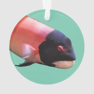 Sheepshead Christmas Ornament
