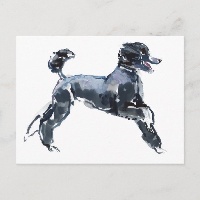 Sheer Class 2013 Postcard (Front)