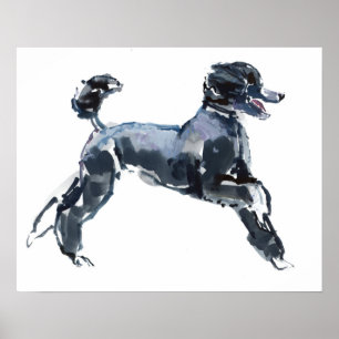 Sheer Class 2013 Poster