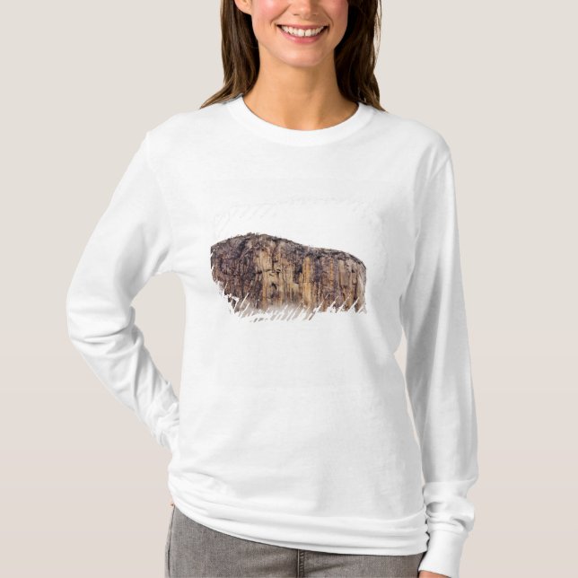 Sheer cliff rising above clouds T-Shirt (Front)