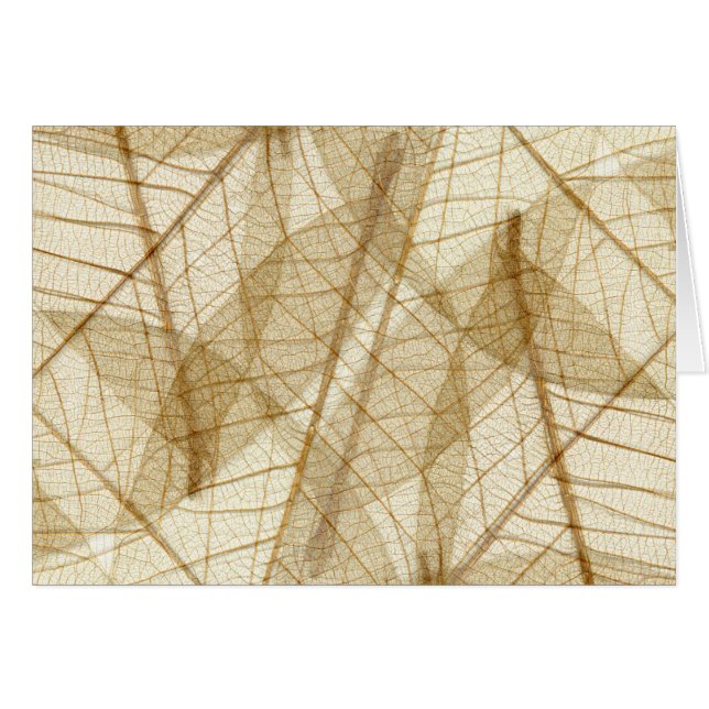 Sheer Cream Beige Lace Leaves (Front Horizontal)