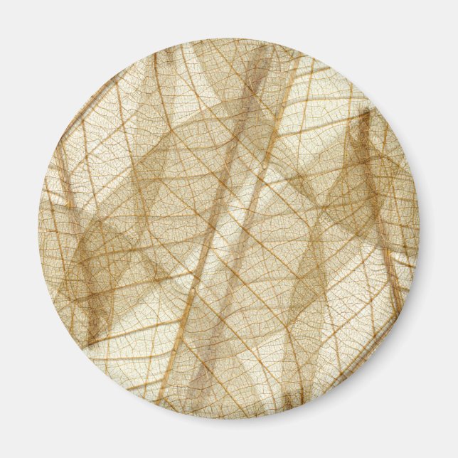 Sheer Cream Beige Lace Leaves Magnet (Front)