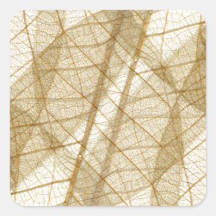 Sheer Cream Beige Lace Leaves Square Sticker