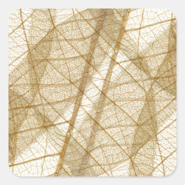 Sheer Cream Beige Lace Leaves Square Sticker (Front)
