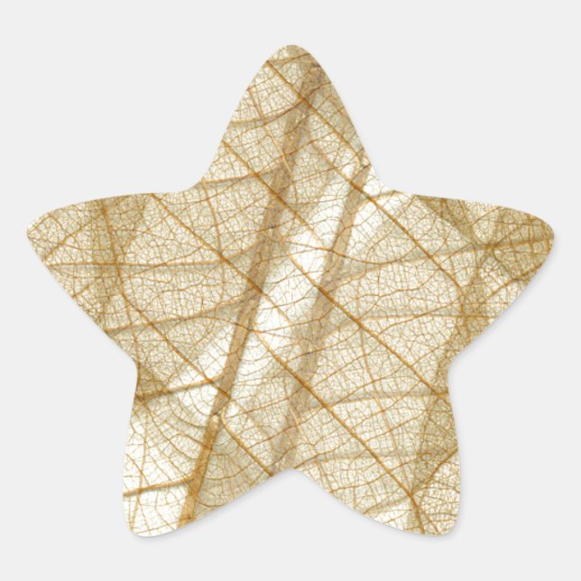 Sheer Cream Beige Lace Leaves Star Sticker (Front)