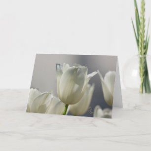 Sheer White Spring Tulips Lee Hiller Photography Card