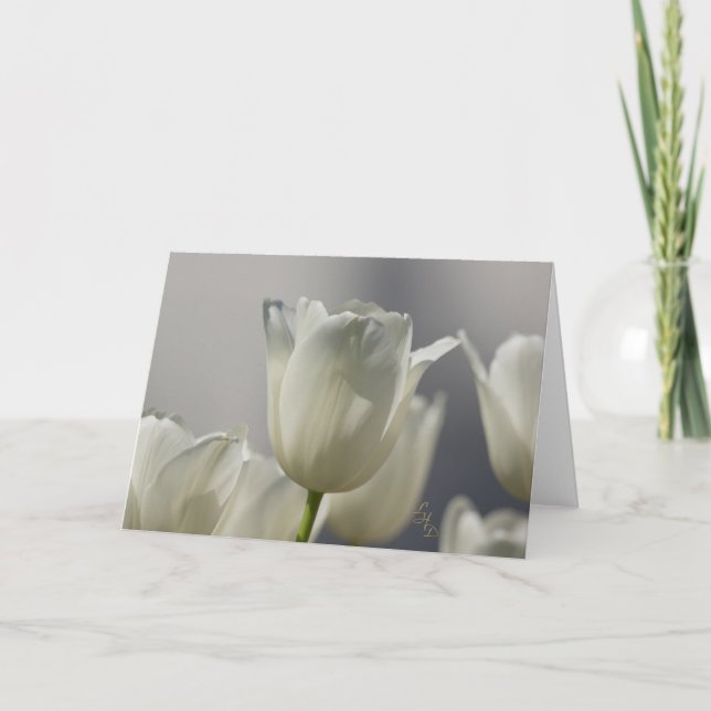 Sheer White Spring Tulips Lee Hiller Photography Card (Front)