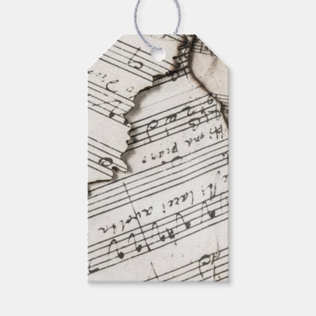 Sheet Music Notes Custom Gift Tag (Front)