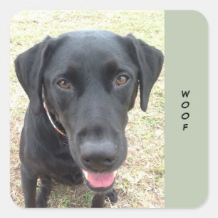 Sheet of 20 Black Lab Woof Stickers