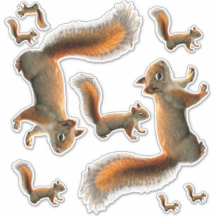 Sheet of Red Squirrel Stickers