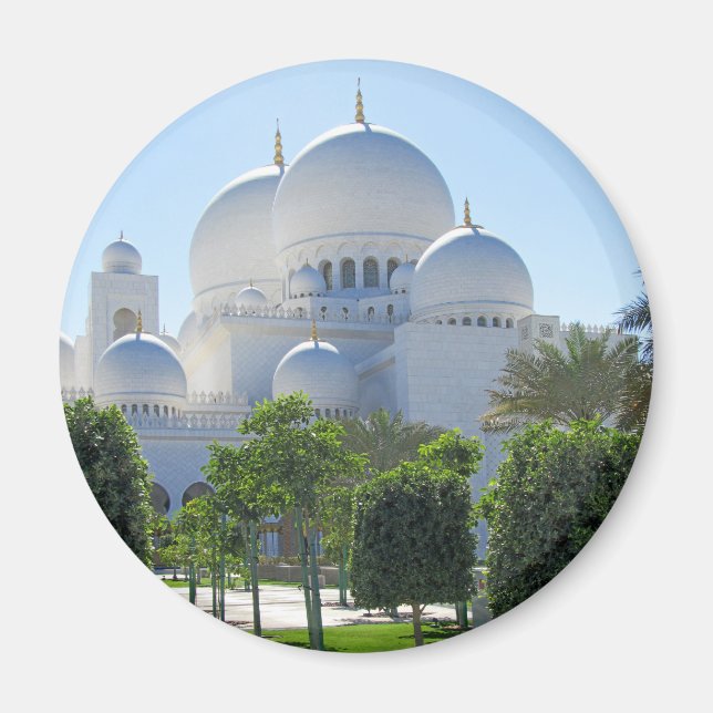 Sheikh Zayed Grand Mosque domes 1 Magnet (Front)