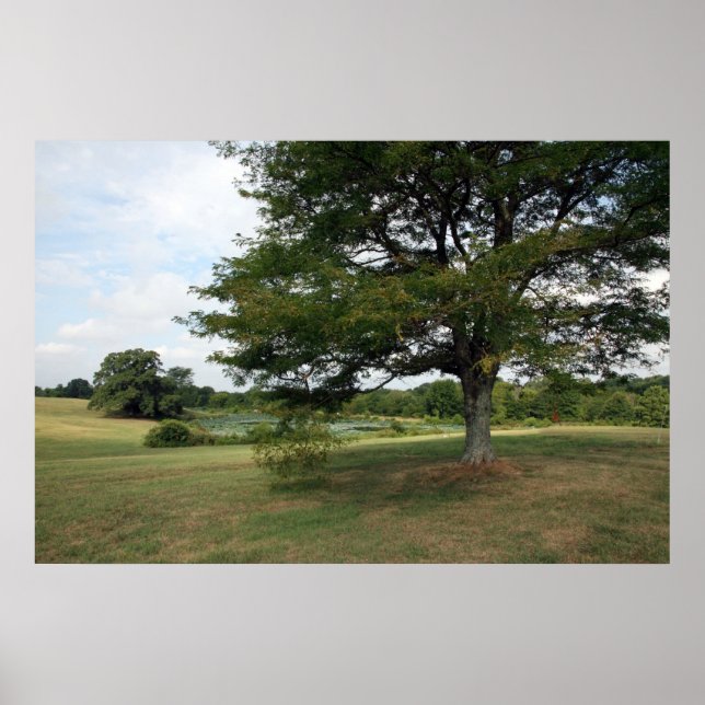 Shelby Farms Poster (Front)