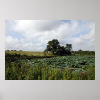 Shelby Farms Poster