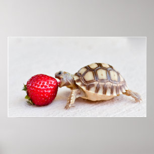 Sheldon & the Strawberry Poster
