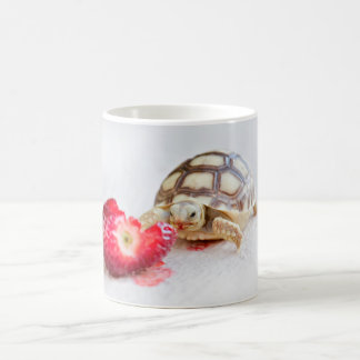 Sheldon the Tortoise Coffee Mug