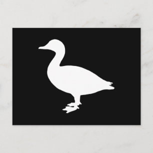 Sheldrake Duck Postcard