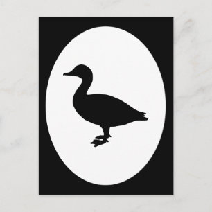 Sheldrake Duck Postcard