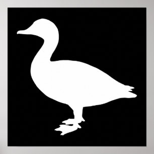 Sheldrake Duck Poster