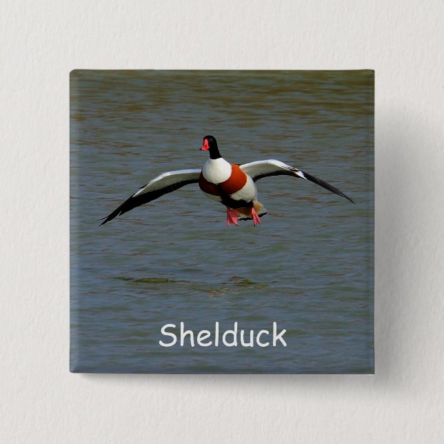 Shelduck 15 Cm Square Badge (Front)