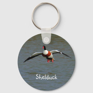Shelduck Key Ring