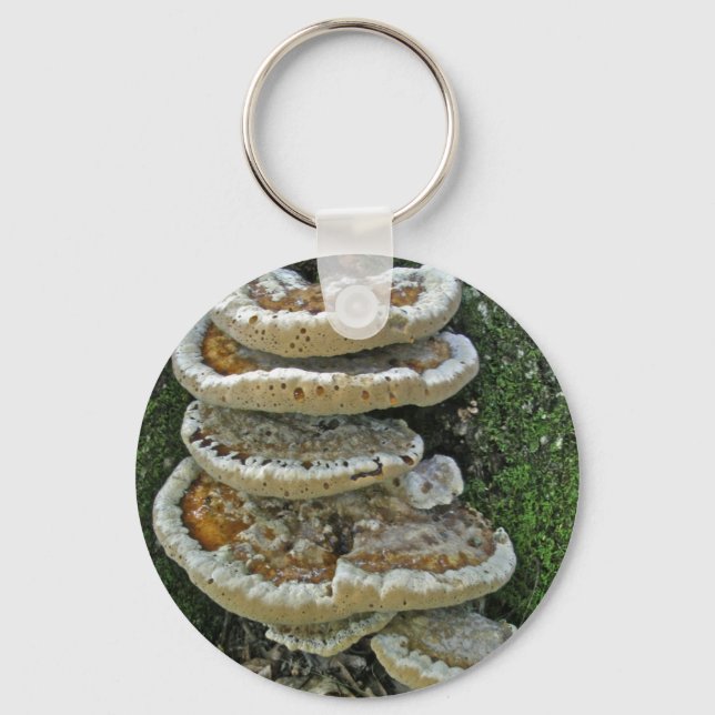 Shelf Fungi on Stump Key Ring (Front)