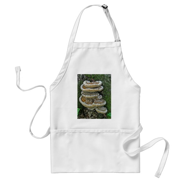 Shelf Fungi on Stump Standard Apron (Front)