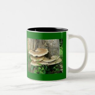 Shelf Fungus 11 Oz. Mug