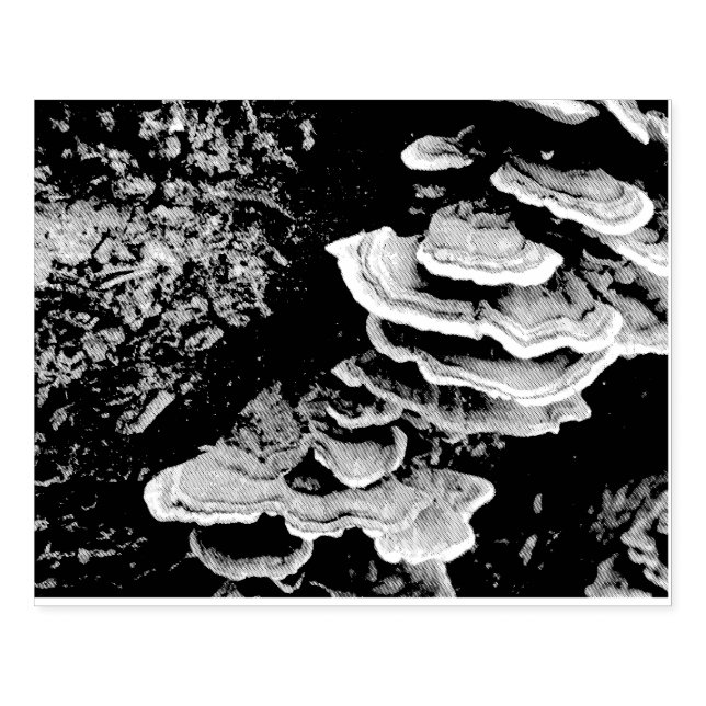 Shelf Fungus Rubber Stamp (Imprint)