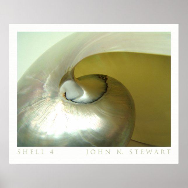 Shell #4 poster (Front)