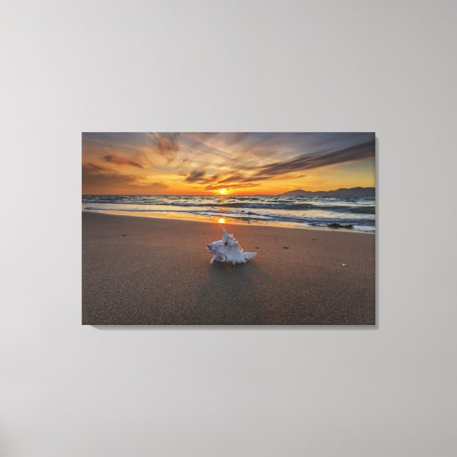 Shell At The Beach At Sunset | Kos Island Canvas Print (Front)