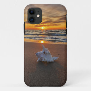 Shell At The Beach At Sunset Kos Island iPhone 11 Case