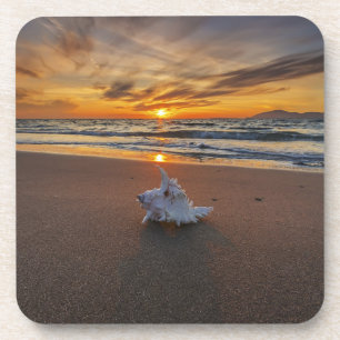 Shell At The Beach At Sunset Kos Island Coaster
