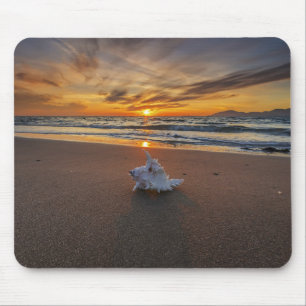 Shell At The Beach At Sunset Kos Island Mouse Mat